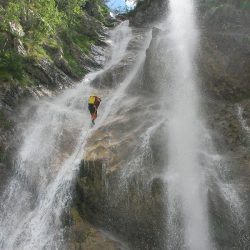 image00 image00